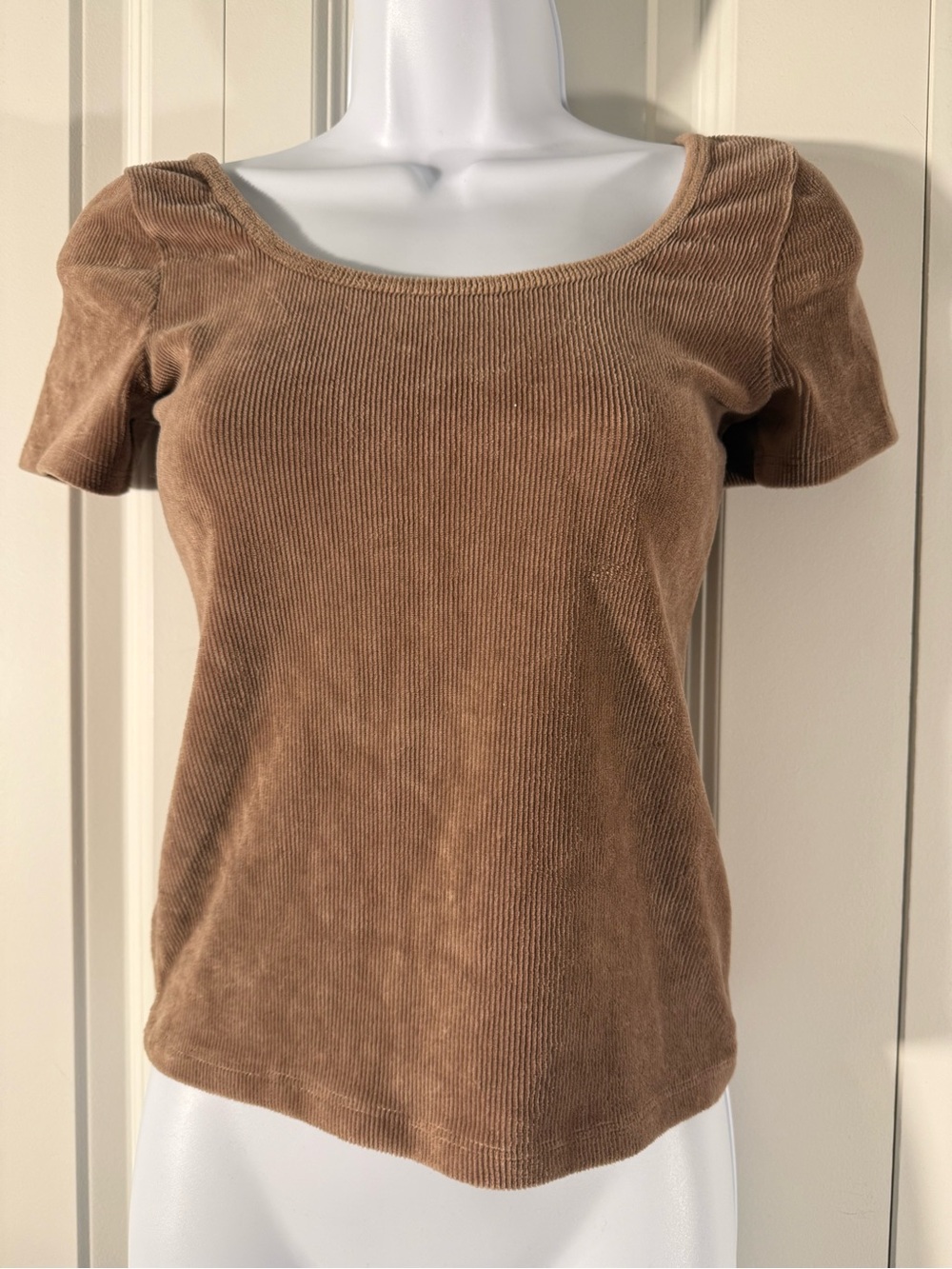 Hollister Short Sleeve Scoop Neck Velvet Ribbed Top - Light Brown